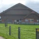Brunner Geiss