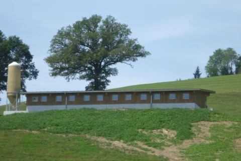 Ryser Schmidigen-Mühleweg