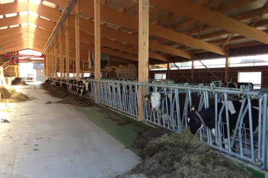 Wandeler 2013 08 02 002